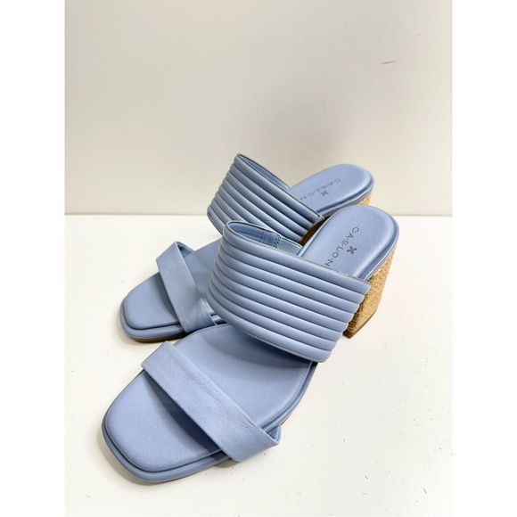 Caslon Shoes - Caslon Sandals Womens Size 6 Blue Leather Open Toe Block Lamia Double Strap
